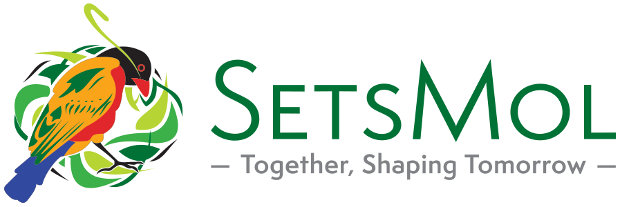 Setsmol Logo